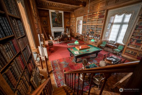 Bibliothèque en bois magnifique et table de billard